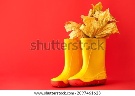 Pair of rubber boots with autumn leaves on color background