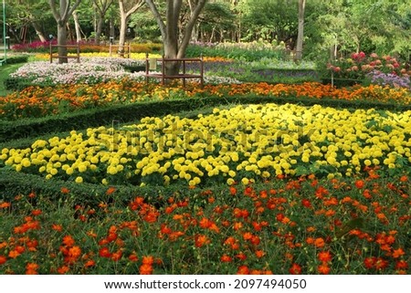 flower garden view inside the park