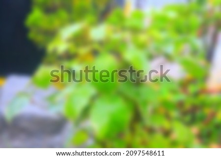 Blurred abstract background high quality photo