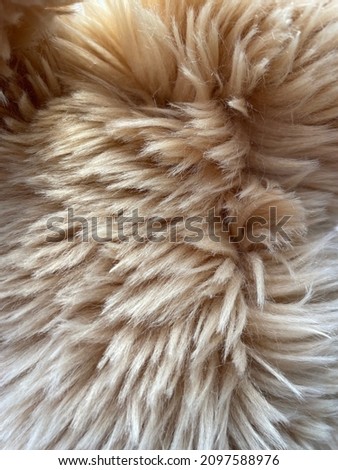The texture of beige shaggy fur.