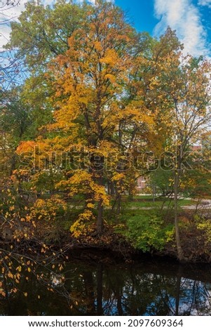 Fall colors on the Red Cedar river in East Lansing