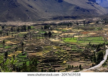 Colca canyon Peru is a deep and long canyon of the Colca River in southern Peru, with a depth of about 1000 - 2000 meter