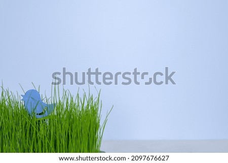 Decorative blue bird over green grass on a blue background. space for text. High quality photo
