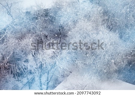 Frosty winter landscape in snowy forest. Cold winter weather. Christmas background with fir trees