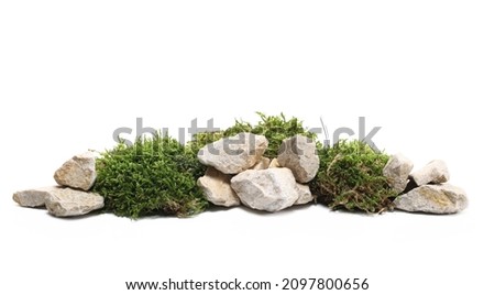 Green moss with decorative rocks and grass isolated on white background Royalty-Free Stock Photo #2097800656