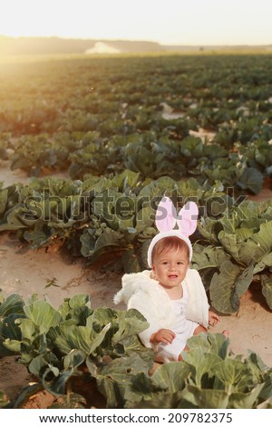 Bunny baby in a cabbage