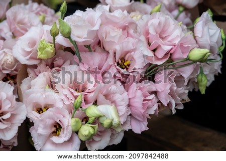 Bunches of lisianthus blooms are for sale at a Farmers Market in Oregon. Royalty-Free Stock Photo #2097842488