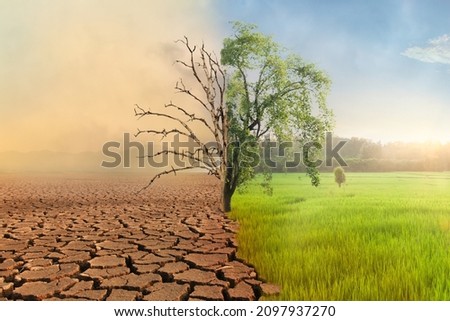 Climate change, Dead tree with air pollution and green grass with beautiful sunlight sky metaphor world nature disaster and global warming concept.	 Royalty-Free Stock Photo #2097937270