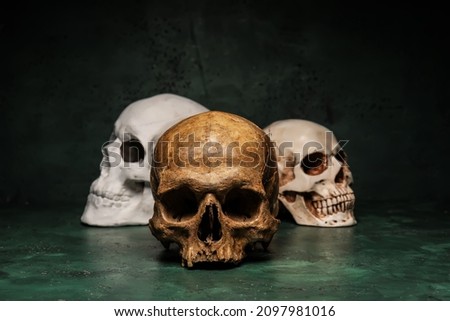Human skulls on color background Royalty-Free Stock Photo #2097981016