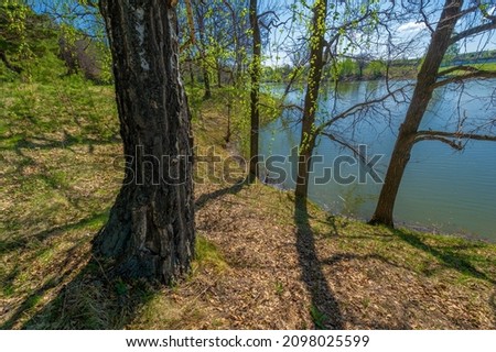 Photos of the pond, source, birch forest. A lake is an area filled with water, localized in a basin surrounded by land, with the exception of any river or other outlet