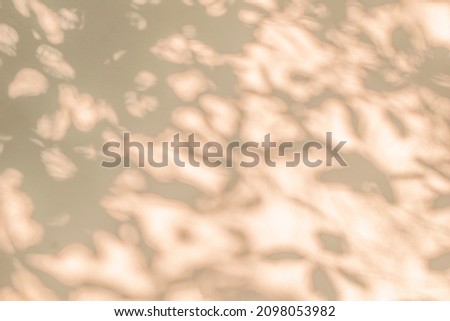 Shadow and sunshine of leaves reflection. Jungle gray darkness shade and lighting on concrete wall for wallpaper, shadows overlay effect, mockup design. Black and white artistic abstract background
