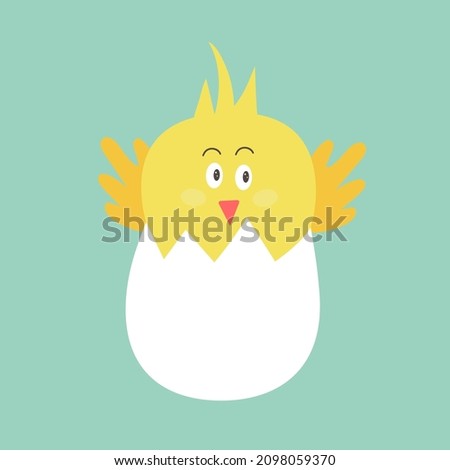 Сute newborn yellow Easter chicken in the shell. Easter chicks concept. 