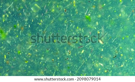 Biological macro background in water particles with large zoom. Ultra macro bio dynamic herbal, Light green fluorescent, herbal color. Ecological compatibility. Design environmentalism