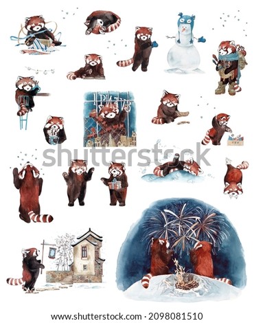 Red panda painted by watercolor. Set of illustrations on a white background. Panda playing in the snow, making a snowman, wrapping gifts and other winter pre-holiday activities.