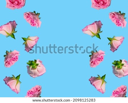 Creative seamless pattern made with pastel pink rose flowers on sky blue background. Minimal spring concept. Valentines Day or 8 March idea. Copy space.
