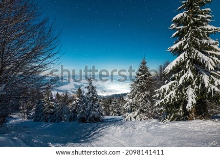 Stunning beautiful nature starry sky with snowy fir trees and beautiful winter mountain slopes. The concept of pristine northern nature and snowy beauty