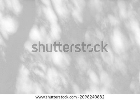 Sunlight and shadows on the wall from the branches of trees