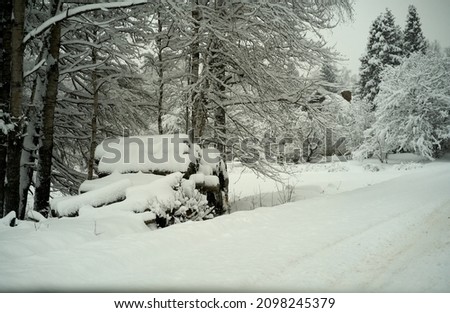 large pile of logs on the side of a road covered in snow. Winter view. High quality photo