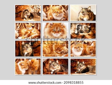 Collage of different cute purebred cats of brown and red color, in frames on a gray background.