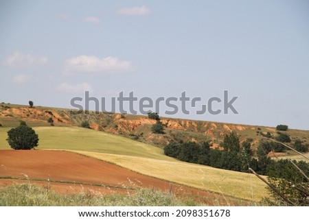 view of rural fields of Castilla Leon in Spain in the middle of June Royalty-Free Stock Photo #2098351678