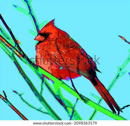 Cardinals, in the family Cardinalidae, are passerine birds found in North and South America sign illustration pop-art background icon with color spots