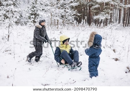 Happy children sledding down in winter snowy forest. Teenage boys and toddler having fun riding sledge and playing on frosty day. Wintertime activity outdoors. Joyful brothers in warm clothes walking