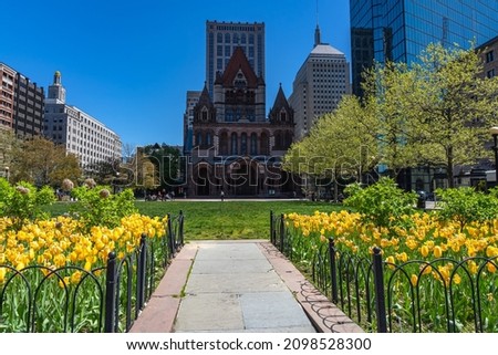 Blooming yellow tulips against the background of the church in Copley Square Park in May. Boston, Massachusetts, USA.