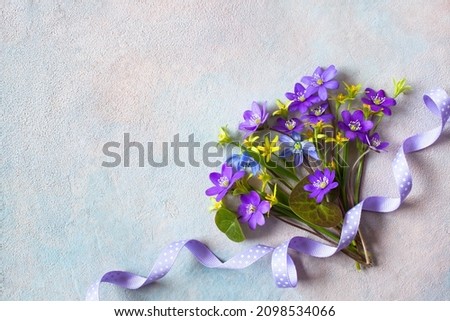 Bouquet of spring blue flowers anemone hepatica, scilla, yellow gagea and ribbon polka dot on a decorative colored background, space for a postcard text. Royalty-Free Stock Photo #2098534066