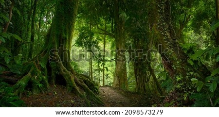Tropical jungles of Southeast Asia  Royalty-Free Stock Photo #2098573279