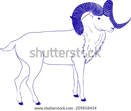 sketch goat or ram with twisted  long horn