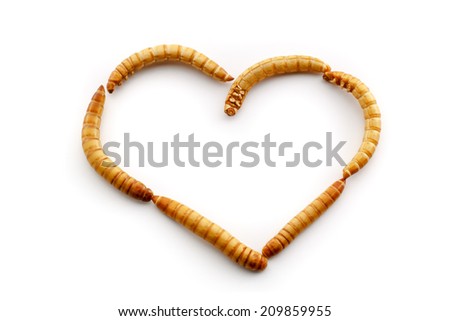 Some people just love meal worms. Healthy food of the future. Royalty-Free Stock Photo #209859955