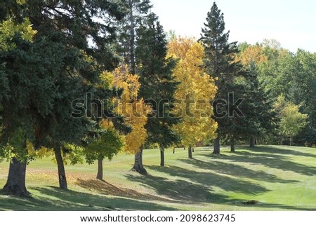 Trees in the autumn reflecting on a golf course in rural Manitoba, Canada