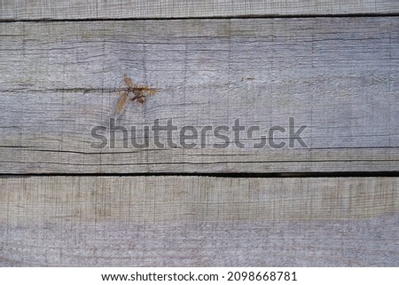 Wood texture. Close-up texture of old weathered wood. Natural wooden planks.