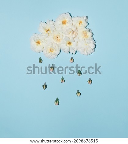 White cloud and rain made with rose flowers and buds on blue background. Minimal  summer concept. Creative rain idea.