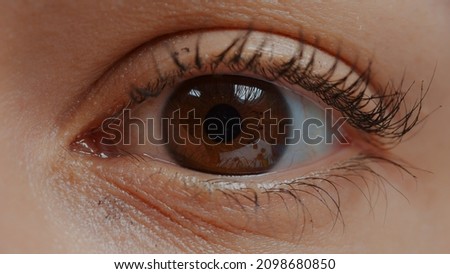 Woman with brown eye and eyelashes looking at camera. Human eye in extreme close up open with eyelid and natural skin showing retina, pupil and iris, blinking to focus sight. Healthy eyesight. Closeup Royalty-Free Stock Photo #2098680850