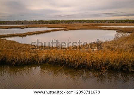 Abstract coastal wildlife sanctuary topography of the grassy land, water, and sky