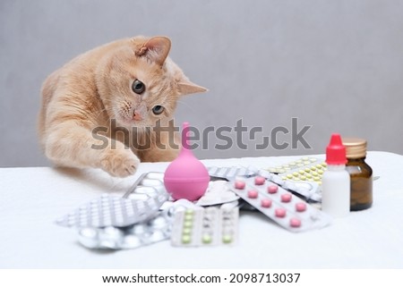 A red-haired cat sitting in front of a pile of medicines and playing with a rubber medical enema. Pet treatment concept. Royalty-Free Stock Photo #2098713037