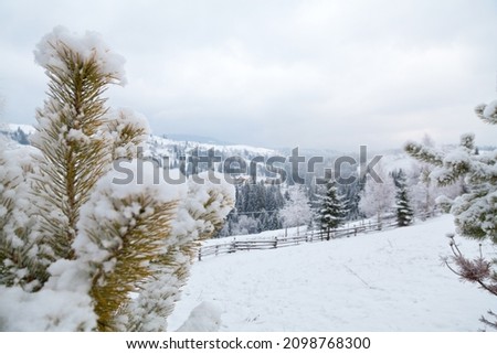 Winter mountain landscape, snowcovered mountains and pine-tree brunches. 