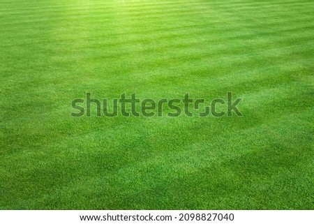 An landscape view of a large patch of some freshly cut, healthy, green grass mowed in a checkerboard pattern.
