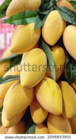 screen full mangos 🥭 and green leaf background  blur 