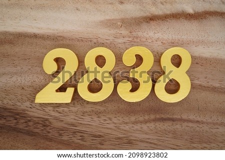 Golden Arabic numerals 2838 on a dark brown to white wood grain background.