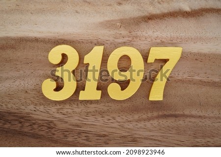 Golden Arabic numerals 3197 on a dark brown to white wood grain background.