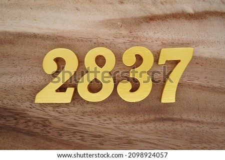 Golden Arabic numerals 2837 on a dark brown to white wood grain background.