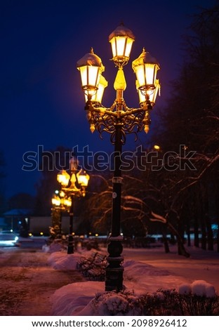glow lamp on pole in winter on a background of a tree covered with a layer of snow at night