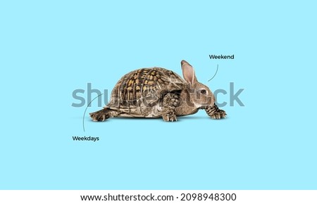 Weekend and weekday difference concept Royalty-Free Stock Photo #2098948300