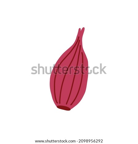 Red shallots onion hand drawn naive art Royalty-Free Stock Photo #2098956292