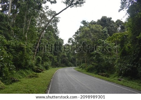 Green landscape of tropical Uganda