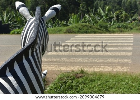 Zebra crossing and the statue of zebra