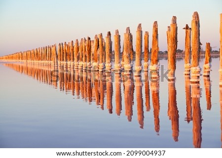 Wooden pillars in the water of pink lake. Ukraine, Syvash, Kherson.