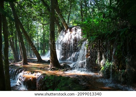 The abundant tropical rainforest of Asia, trees are the source of water, waterfall in a national park of Thailand
